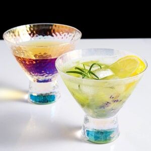 NEW Stemless Cocktail Glasses Set of 2